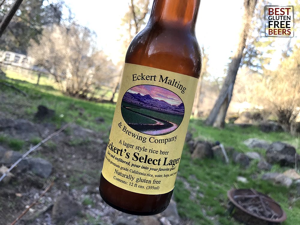 gluten free beers