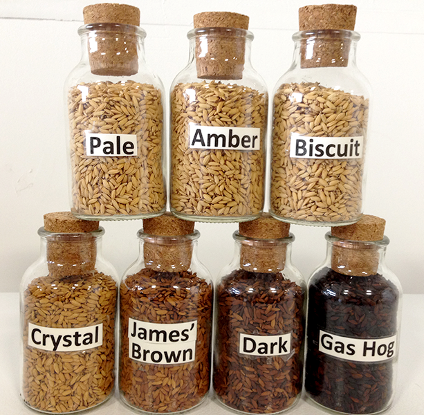 roasting malting california grains gluten free beer