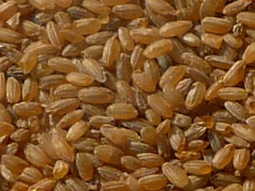 Amber Rice Malt